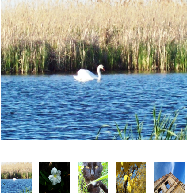 1С-Битрикс: Слайдер фото с превью на компоненте новостей